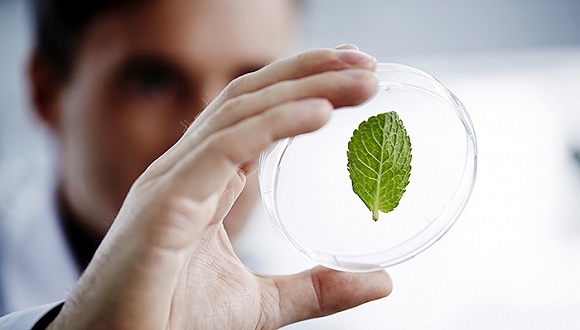 新興能源技術研發 驅動未來可持續發展的核心引擎