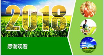 2018互聯(lián)網(wǎng)+農(nóng)副產(chǎn)品市場(chǎng)推廣企業(yè)營(yíng)銷策劃方案